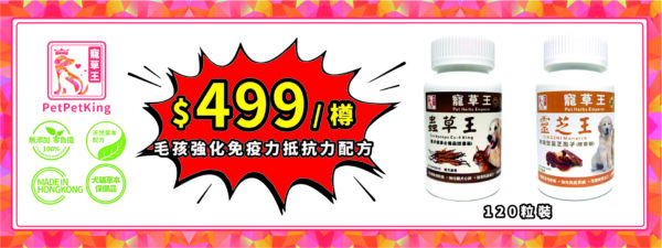 蟲草王：平衡身體機能 - Image 4