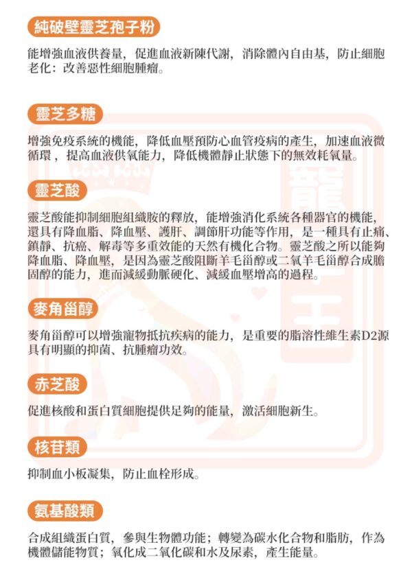Lingzhi Monarch 靈芝王 - Image 5