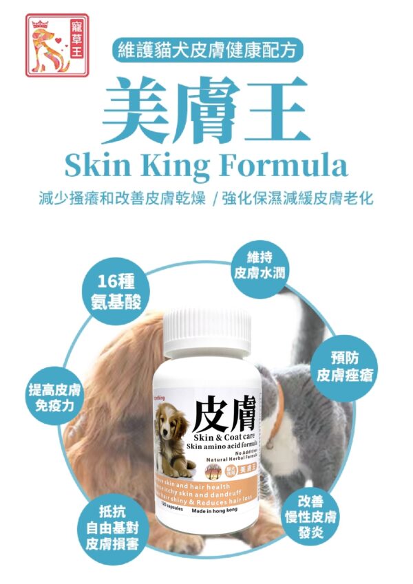 Skin King Formula 美膚王 - Image 2