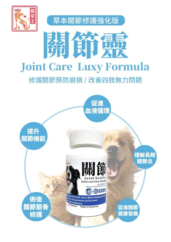 Joint Care Luxy Formula 關節靈 - Image 2