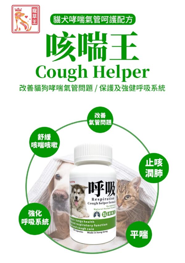 Cough Helper 咳喘王 - Image 2