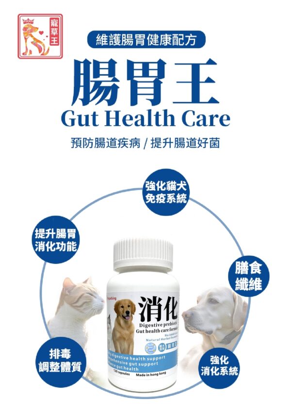 Gut Health Care 腸胃王 - Image 8