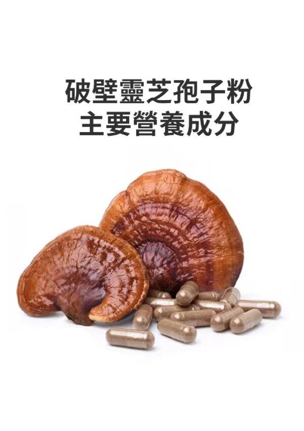Lingzhi Monarch 靈芝王 - Image 3