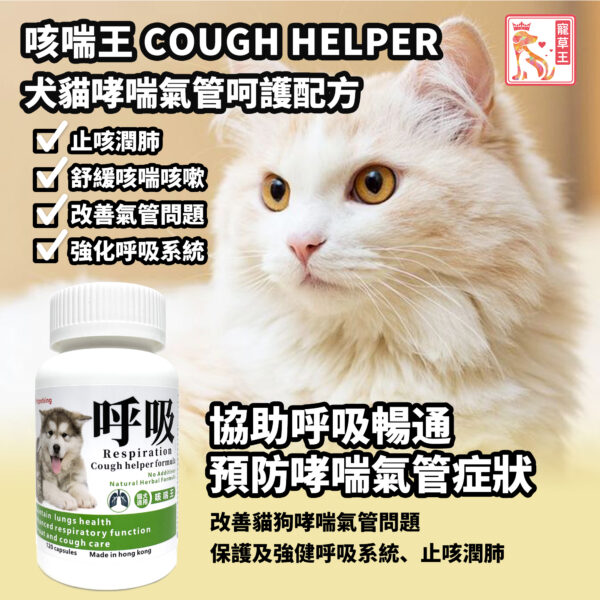 Cough Helper 咳喘王