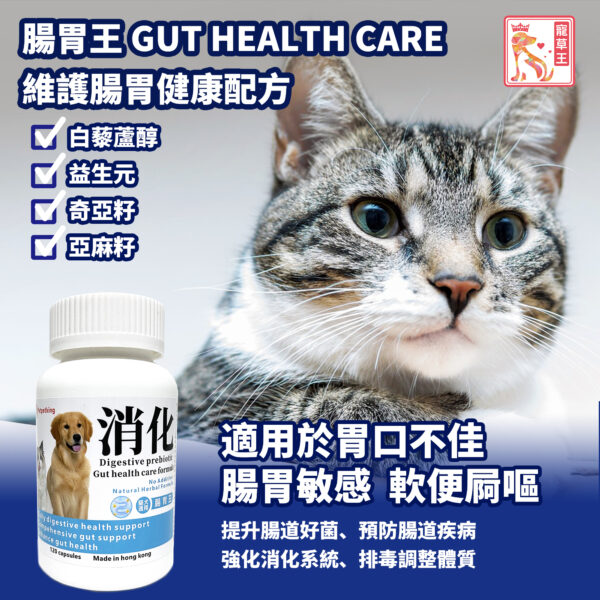 Gut Health Care 腸胃王
