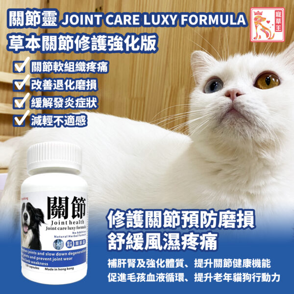 Joint Care Luxy Formula 關節靈