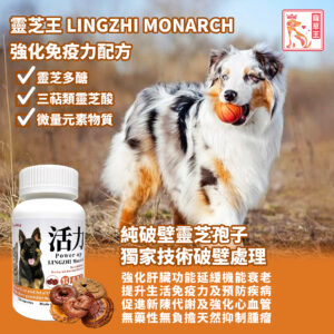 Lingzhi Monarch 靈芝王