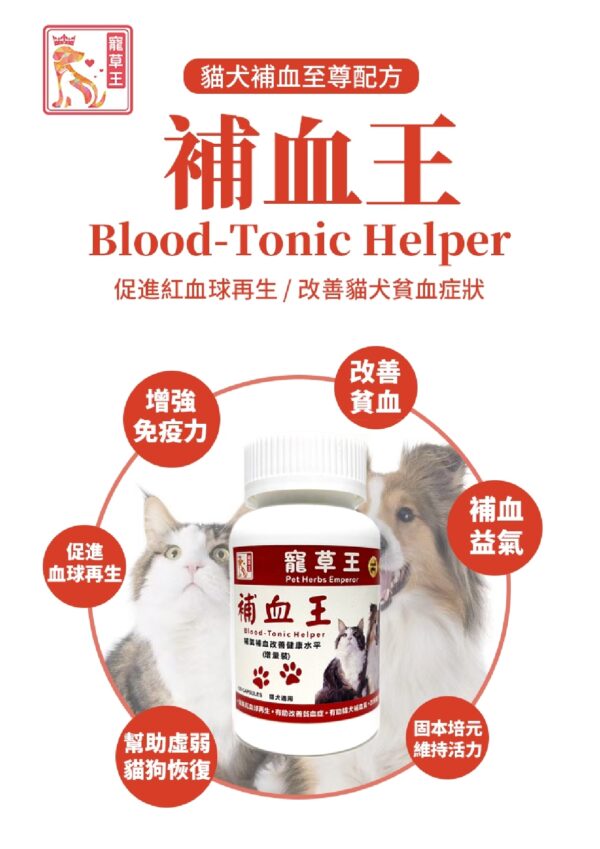 Blood Tonic Helper 補血王 - Image 3