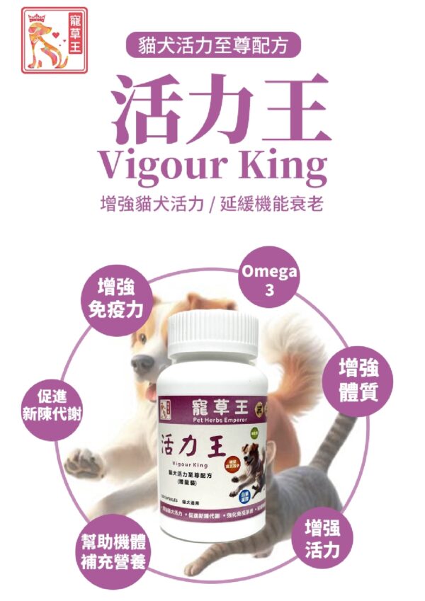 Vigour King 活力王 - Image 3