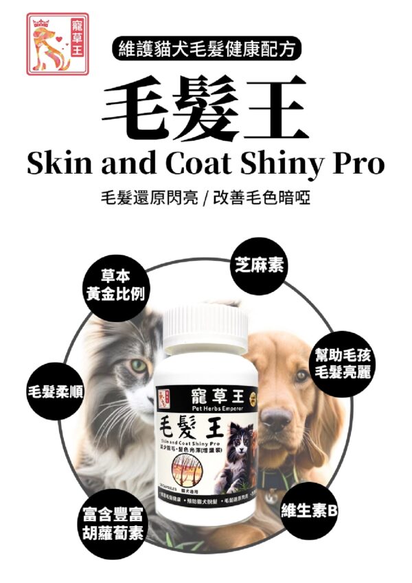 Skin and Coat Shiny Pro 毛髮王 - Image 3