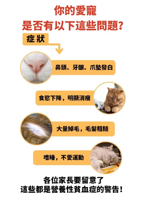 Blood Tonic Helper 補血王 - Image 4