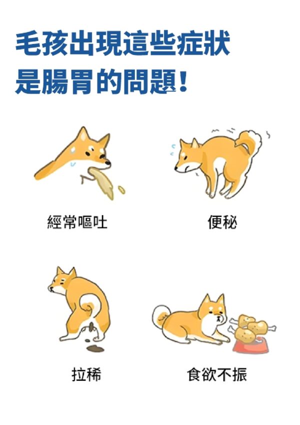 Gut Health Care 腸胃王 - Image 2