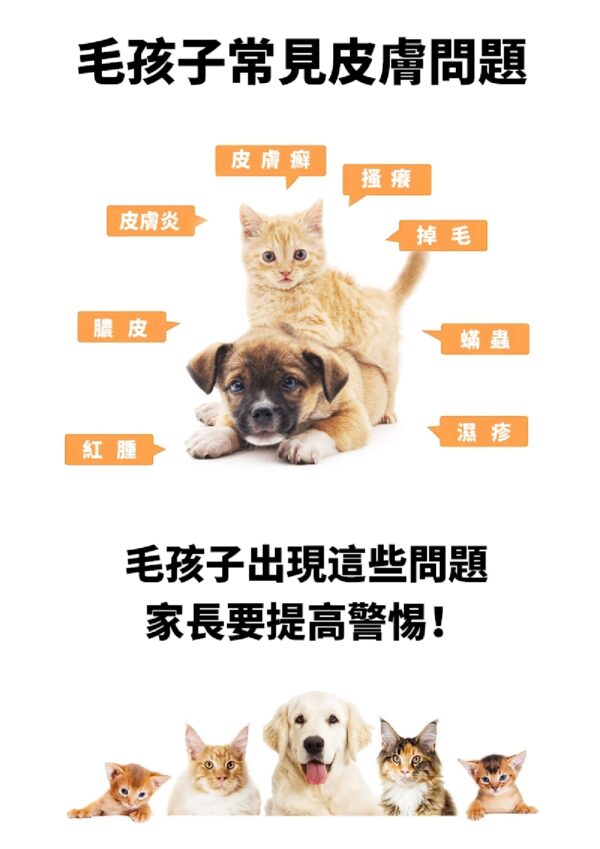 Skin King Formula 美膚王 - Image 3