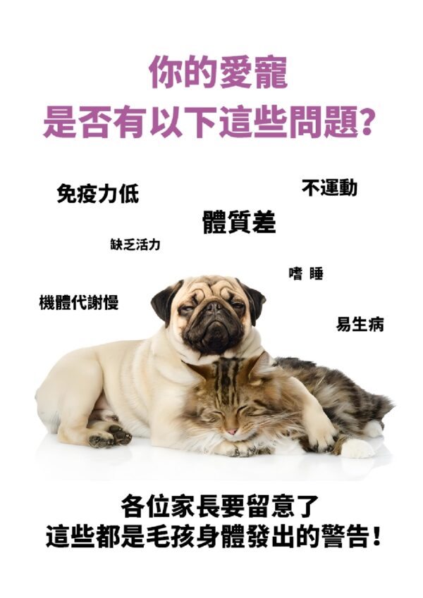 Vigour King 活力王 - Image 4