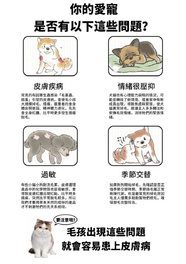 Skin and Coat Shiny Pro 毛髮王 - Image 4