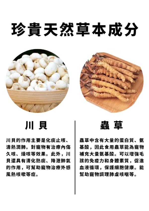 Cough Helper 咳喘王 - Image 3