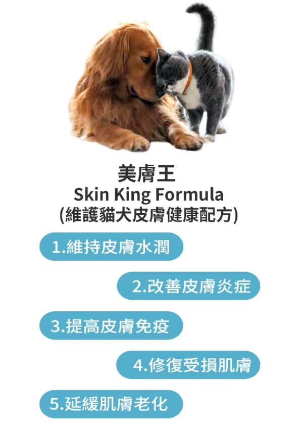 Skin King Formula 美膚王 - Image 7