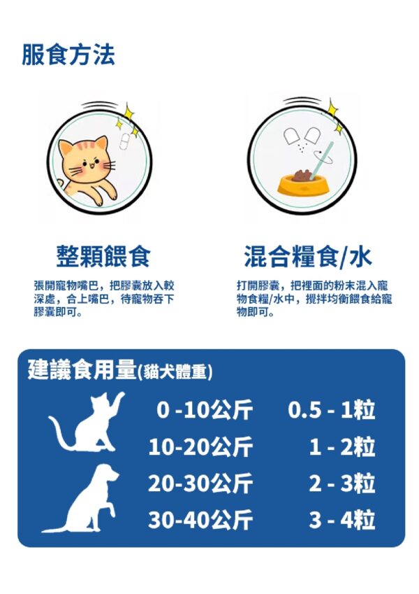 Gut Health Care 腸胃王 - Image 7