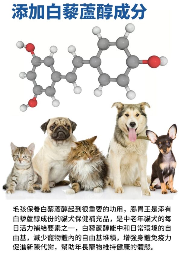 Gut Health Care 腸胃王 - Image 5