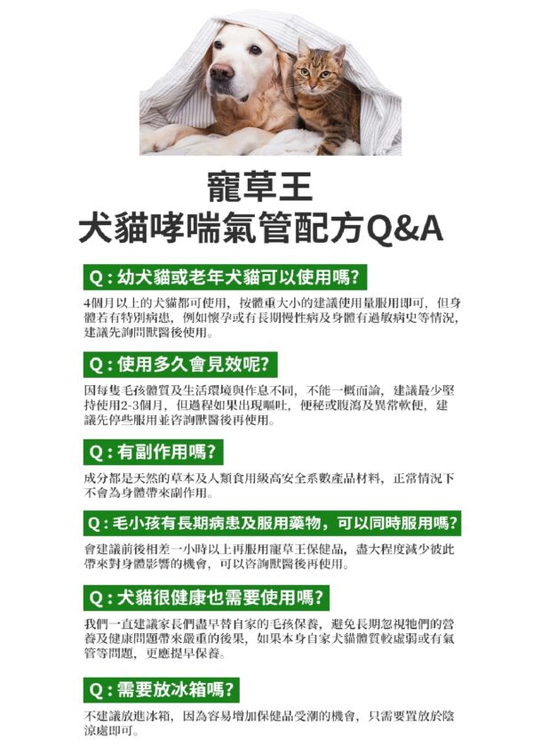 Cough Helper 咳喘王 - Image 4