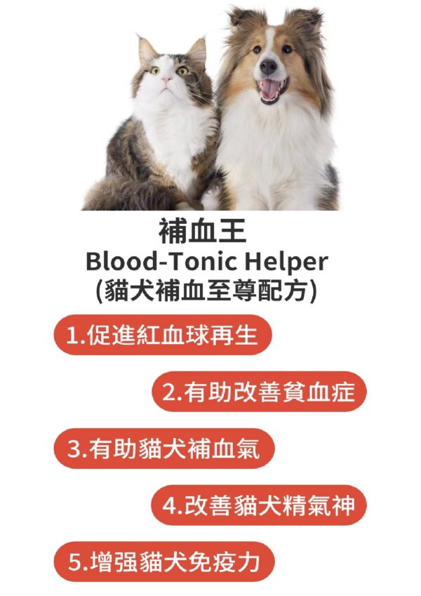 Blood Tonic Helper 補血王 - Image 5