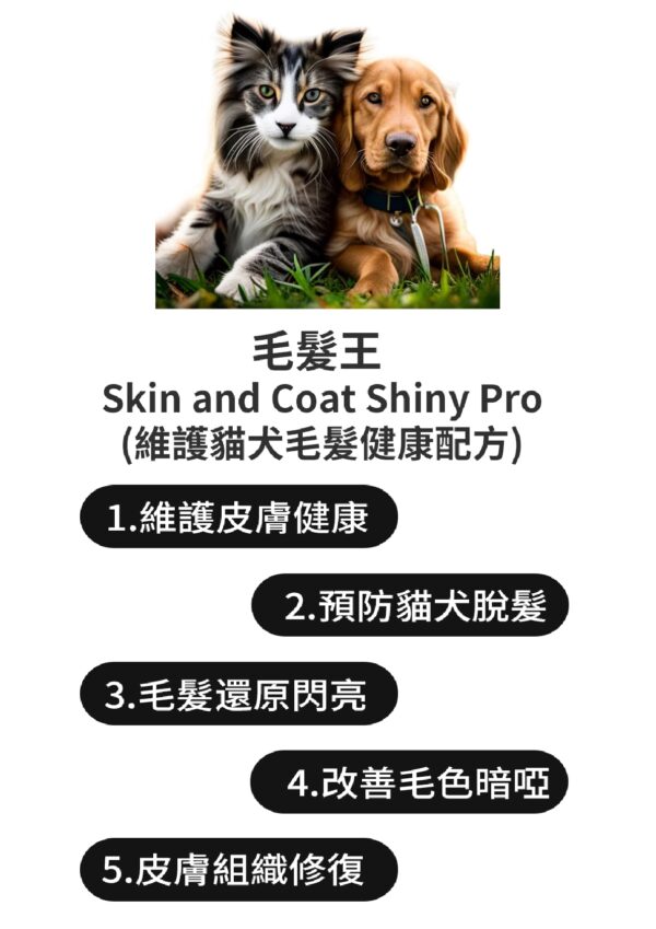 Skin and Coat Shiny Pro 毛髮王 - Image 5