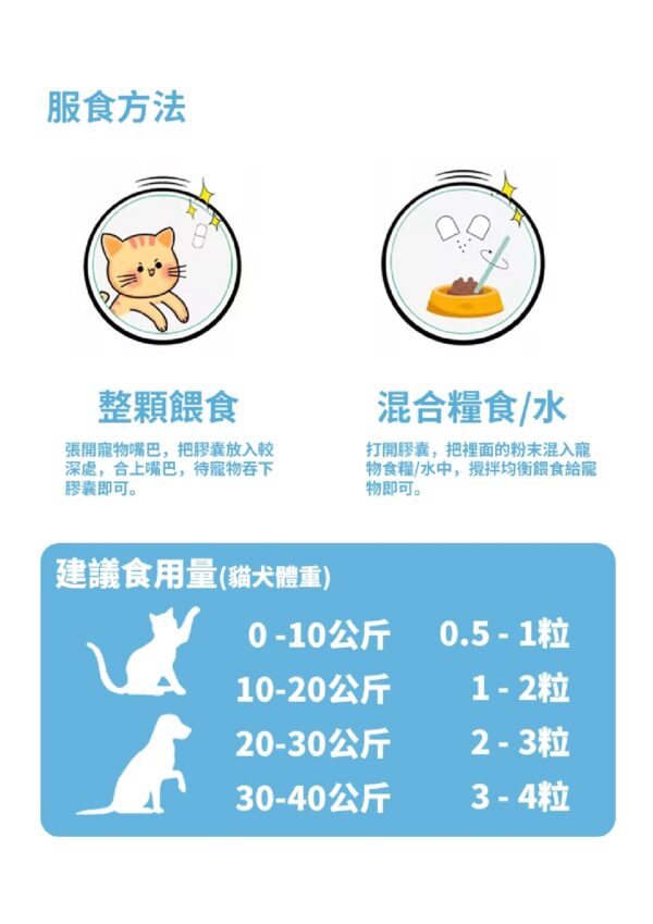 Joint Care Luxy Formula 關節靈 - Image 4