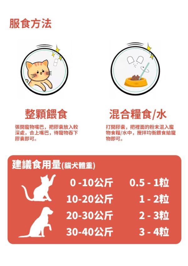 Blood Tonic Helper 補血王 - Image 6