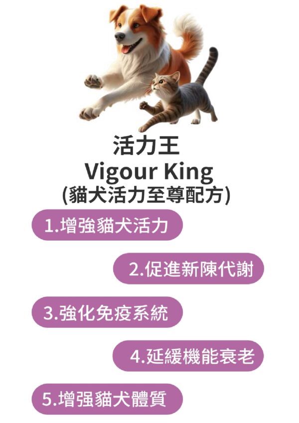 Vigour King 活力王 - Image 6