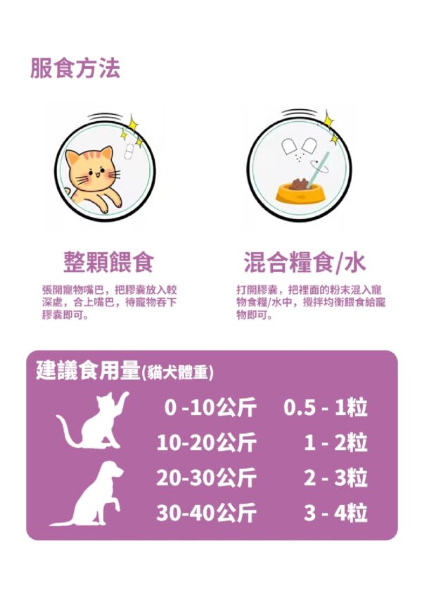 Vigour King 活力王 - Image 7