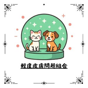 輕度皮膚問題組合