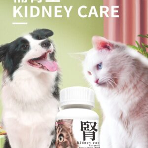 Kidney Care 補腎王