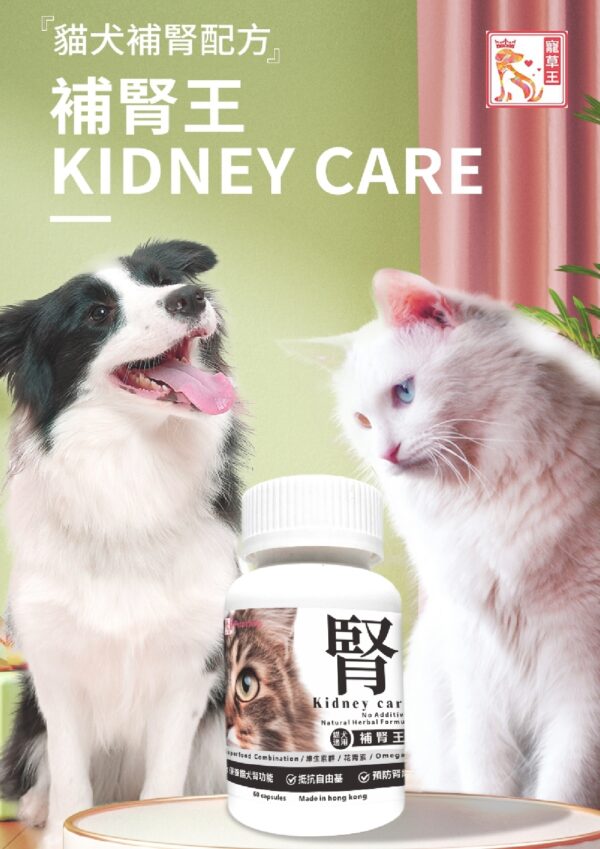 Kidney Care 補腎王