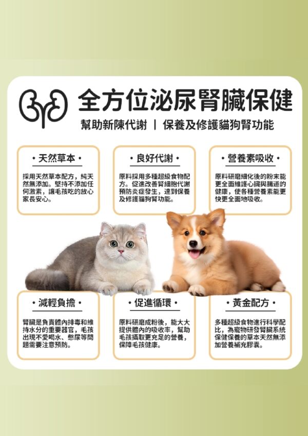 Kidney Care 補腎王 - Image 3