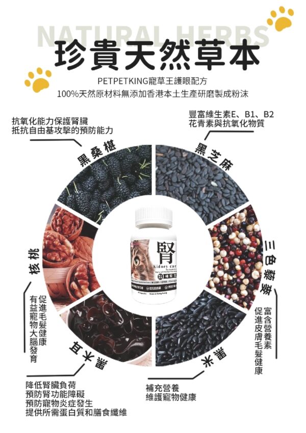 Kidney Care 補腎王 - Image 2