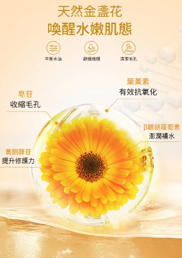 Marigold Spray 金盞博士 - Image 4