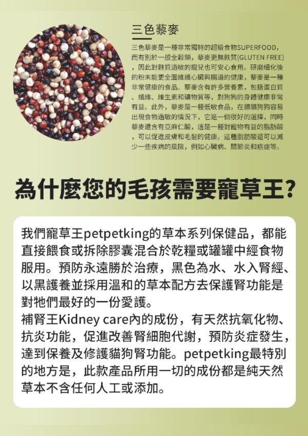 Kidney Care 補腎王 - Image 5